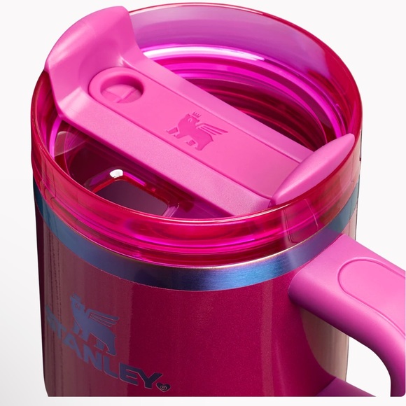 STANLEY: THE VALENTINE’S DAY QUENCHER H2.O FLOWSTATE TUMBLER WITH HANDLE | 20 OZ - Picture 3 of 14